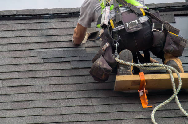 Roof Gutter Cleaning in Woodland, WA